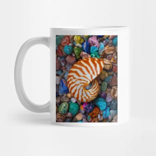 Natural Nautilus Shell On Colorful Stones Mug